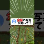 【実写】金髪の写真公開して！#shorts #マイクラ