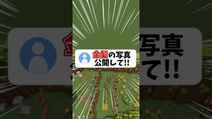 【実写】金髪の写真公開して！#shorts #マイクラ