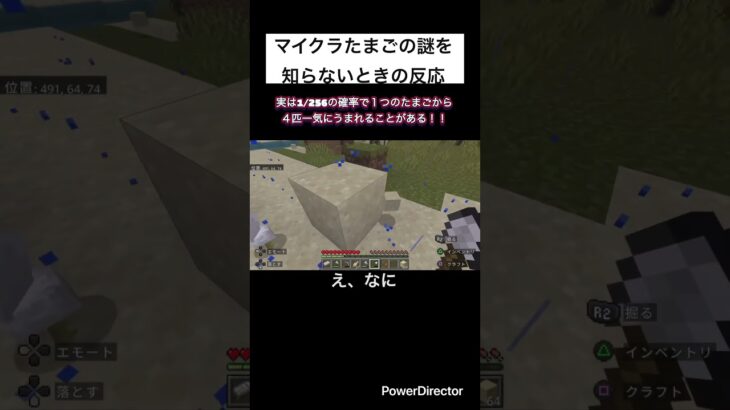 マイクラたまごの謎　#shorts #マイクラ #マイクラたまご #マイクラ統合版 #マイクラの謎