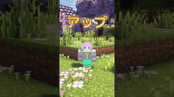 簡単でオシャレな家の建築【 マイクラ 】#shorts