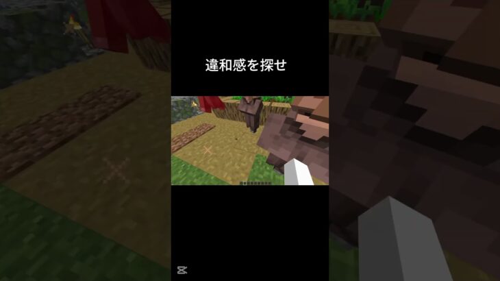 違和感を探せ#マインクラフト #マイクラ#shorts