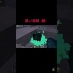 【#shorts 】黒い烏賊（鱈）#minecraft #マイクラ #黒い #烏賊 #鱈 #ゲーム