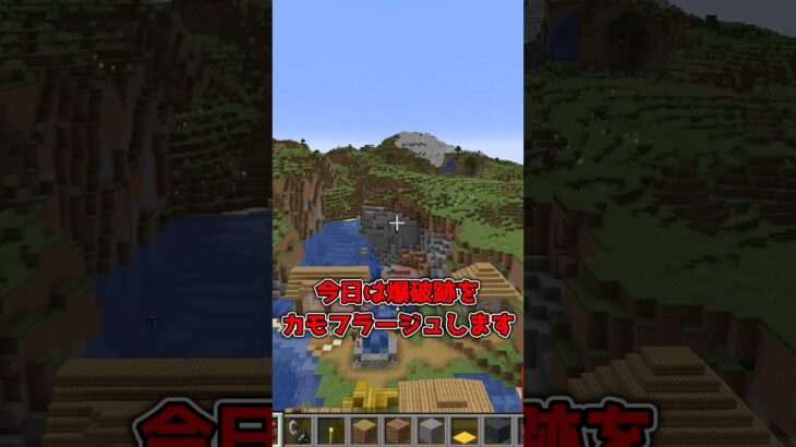 【マイクラ】カモフラージュ(罪滅ぼしのために) #shorts #マイクラ #minecraft #minecraftshorts #マインクラフト #ゆっくり実況 #ゆっくり解説 #ゆっくり茶番