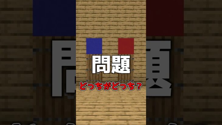 【マイクラ】どっちがどっち？ #shorts #マイクラ #minecraft #minecraftshorts #マインクラフト #ゆっくり実況 #ゆっくり解説 #ゆっくり茶番