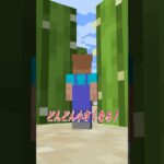 サボテンの間に収まれるか？😂#shorts #minecraft #マイクラ #テトリス #tetoris
