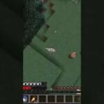村人の末路　#マインクラフト　#マイクラ　#マイクラ統合版　#shots