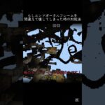 【マイクラ】間違えてエンドポータルを壊してし待ったときの対処法 #shots #マイクラ #マインクラフト #minecraft