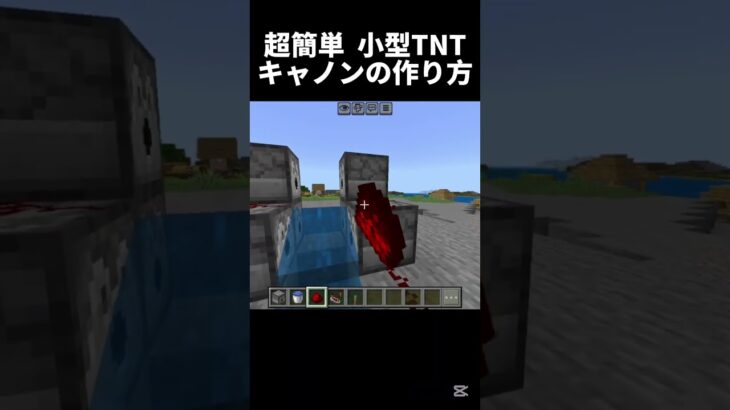 匠もビックリ！ #shots #minecraft #中学生 #マイクラ #マインクラフト