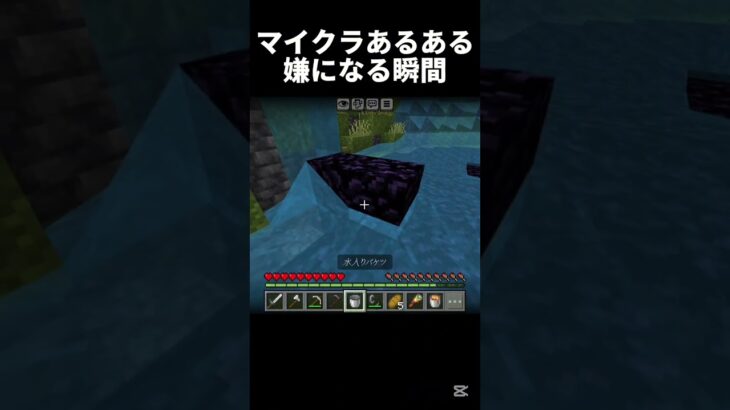 シュレディンガーのマグマ #shots #minecraft #中学生 #マイクラ #マインクラフト