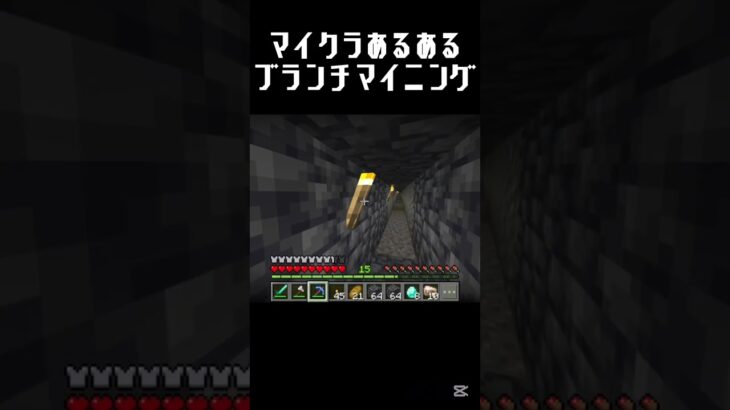 サバイバル民全員共感できるやつ #shots #中学生 #minecraft #マイクラ #マインクラフト