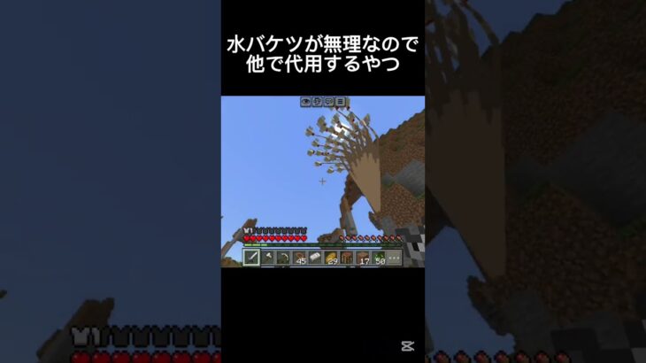 飛べる鳥はただの鳥 #shots #マイクラ #minecraft #中学生 #マインクラフト