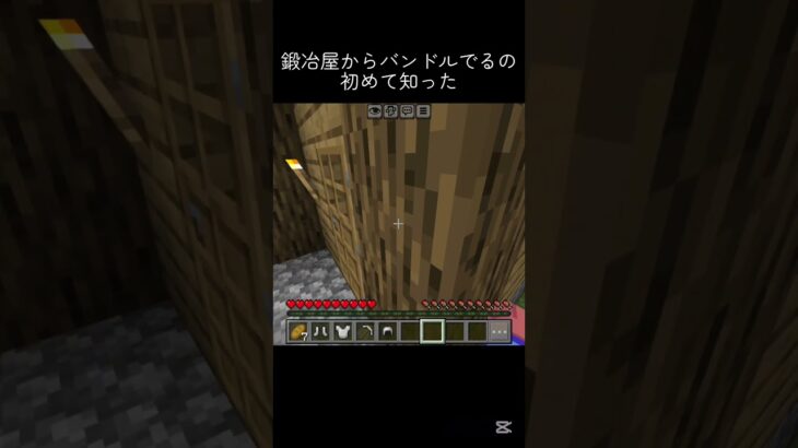 【マイクラ】これ知ってた人いる？#shots #マイクラ #マインクラフト #minecraft