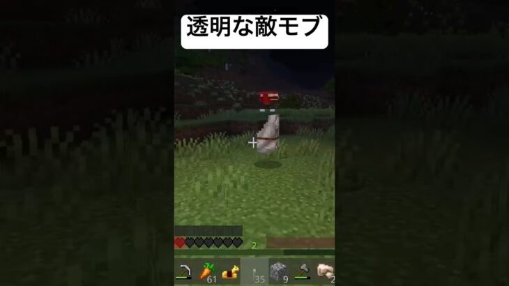 透明な敵モブ#マイクラ #switch