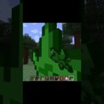 the stupidest mod ever #11