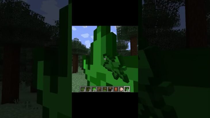 the stupidest mod ever #11