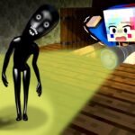 【取り憑かれる…⁉️】屋根裏に住む超怖い化け物から逃げるマインクラフト😱【マイクラ】ぽっぴんず