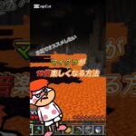 マイクラ飽きてきた？そんなあなたに…