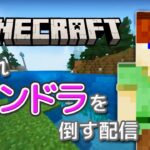 【マイクラ】家を建てて倉庫を作ろう！【雑談】