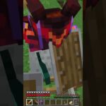 【 マイクラ 】  リスナーさん作の初期リスから村までのトロッコ！