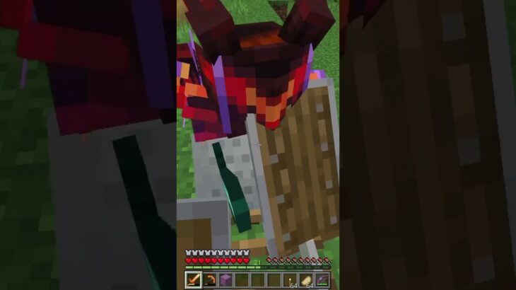 【 マイクラ 】  リスナーさん作の初期リスから村までのトロッコ！
