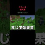 音やば🤣 #マイクラ #からピチ #じゃっぴ