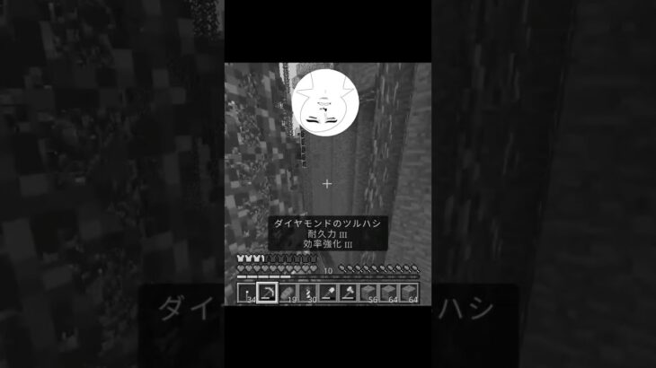 #マイクラ 油断大敵だぁーー🦛