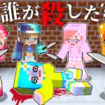 【友達をコロしたのは誰…？】マイクラ人狼 探偵ミステリー(#ぴこみんず)アイドルオーディション事件