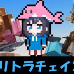 映画「マインクラフト/ザ・ムービー」のオーバーワールドでエリトラチェイス！#いるクラ　#マイクラ