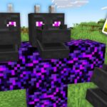 【マイクラ】見たことないボスを召喚できるマインクラフト
