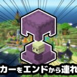【マイクラ】エンドからシュルカーを連れてくる配信