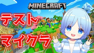 【マイクラ】テストワールドに魔法とスキル入れたよ