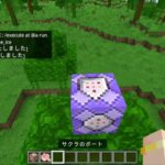 【マインクラフト】地面に氷塊を出現させるコマンド