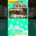 【マイクラ】無知の恐怖！コマンドブロックってなあに？ #ステラフィルワールド【マインクラフト】