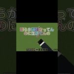 なんかおかしくない？　#マイクラ