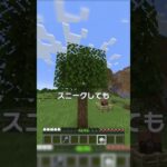 知ってた？ウィンドチャージで最大ジャンプする方法！【マイクラ豆知識 解説 裏技】