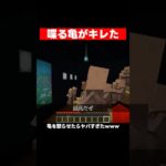 村人の悩みを解決してくれる亀。 #マイクラ #マインクラフト