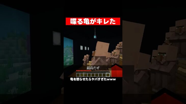 村人の悩みを解決してくれる亀。 #マイクラ #マインクラフト