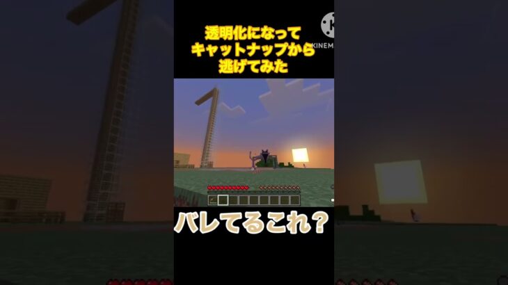 透明化になってキャットナップから逃げてみた#マイクラ#ショート#ポピープレイタイム