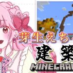 【建築の姫乃】芽生えちゃんを、創る。【マインクラフト】【アイカツアカデミー！/姫乃みえる】