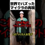 マインクラフトを再現した女性
