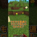 どれかが大当たり #マイクラ