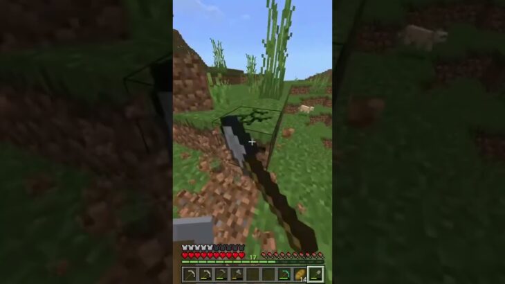 出てくんの早すぎて森　#マイクラ