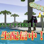【マイクラ】雑談しながらエンチャント本いいの見つけるぞ！！