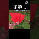 子豚… #マイクラ