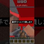 【マイクラ】　素手でハエドラ潰しますw #minecraft #マイクラ #テレパシ