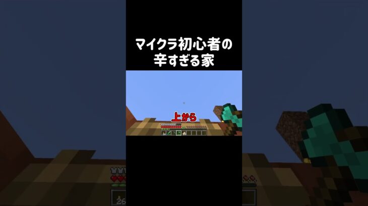 【絶望】マイクラ初心者が作った家が辛すぎるw #shorts