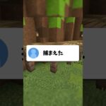 視聴者に家バレされたんだけどww #マイクラ #マインクラフト #vtuber