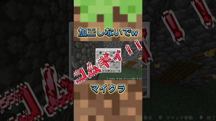 加工しないでwww #マイクラ #ゲーム実況 #Minecraft #マインクラフト #minecraft