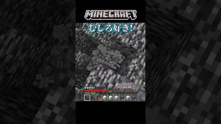 【マイクラ】毎日1チャンク掘るチャレンジ 53日目#マイクラ #マインクラフト #minecraft #shorts