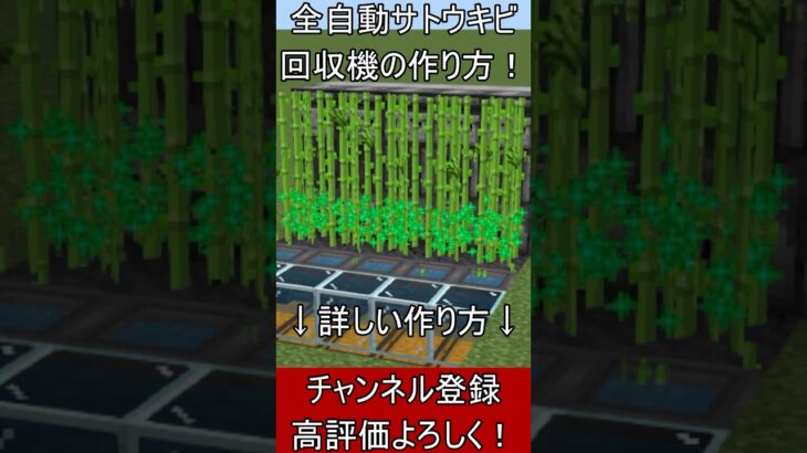 【マイクラ1.21.80統合版】最新版！サトウキビ回収機の作り方！PE/PS4/Switch/Xbox/Win10　#マイクラ  #マインクラフト #minecraft #Minecraft